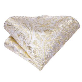 Elegant Champagne Gold Tie Set