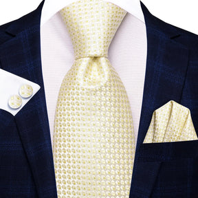 Elegant Champagne Gold Tie Set