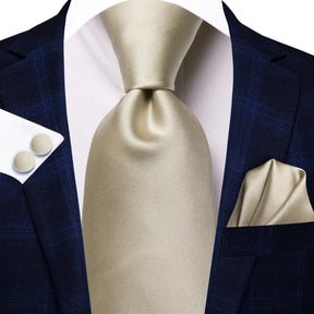 Elegant Champagne Gold Tie Set