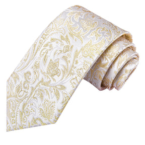 Elegant Champagne Gold Tie Set